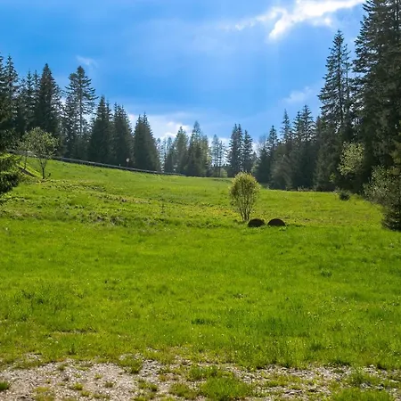 Dwa Niedzwiedzie Penzion