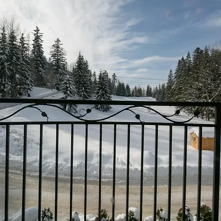 Dwa Niedzwiedzie Penzion